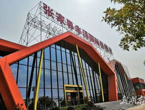 引 进来, 走 出去 把张家界商品推向全世界