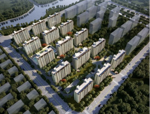 太仓 真实报道让人惊讶 这么好 难怪这么火爆