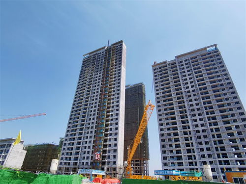 蔡甸区 扩权赋能 助力房地产开发企业少跑腿