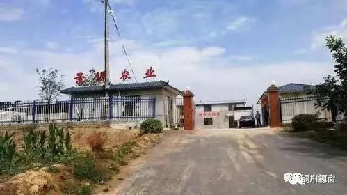 人文铜川,品味东塬丨侯耀宁