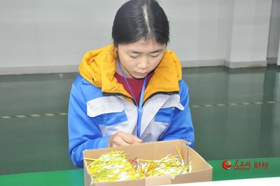 长春工业大学毕业后做什么工作赚钱