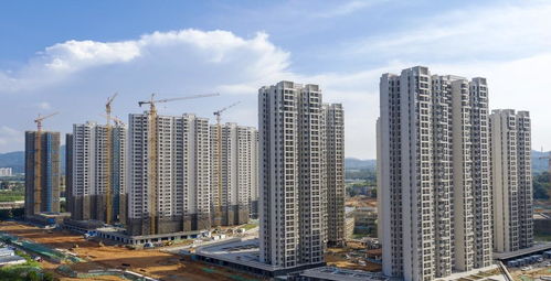 未来5年后,买房上车与卖房下车怎么选 专家回应,答案明了
