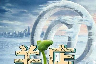 为何有的实体业会面临倒闭?2019年实体业该如何发展?来看看