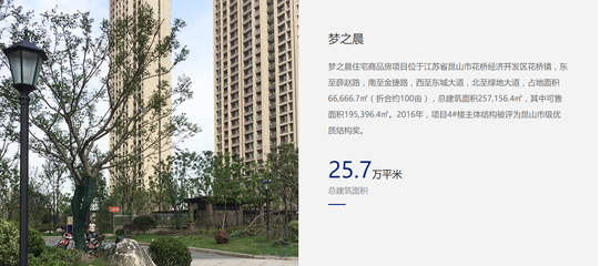 房地产开发业务