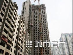 北京龙洋房地产开发有限责任公司
