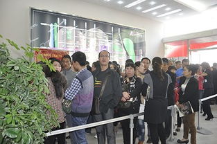 金秋盛世 府东美奥花苑启动盛典隆重举行